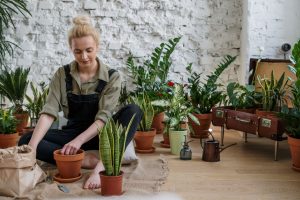 how to keep indoor plants alive